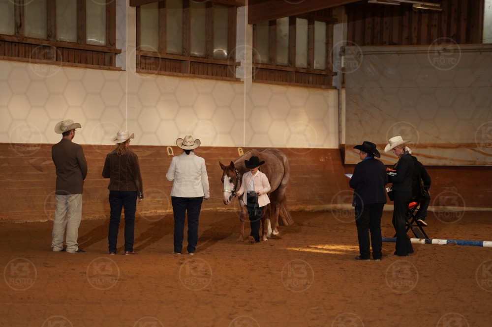 s_A_908550.JPG